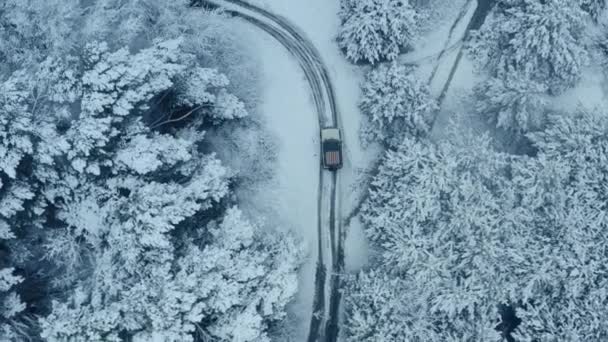 Winter snow road road in forest. Aerial — Stockvideo