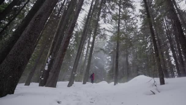 在寒冷的天气里走着的游客，山中的暴风雪 — 图库视频影像