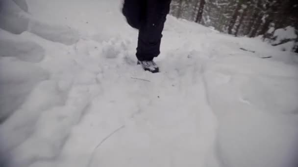 Karlı bir günde ayak izleriyle karda yürüyen insan bacakları. — Stok video