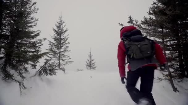 Viaggiatore sulla montagna innevata in inverno. escursioni in inverno condizioni climatiche estreme — Video Stock