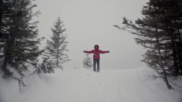 在寒冷的天气里走着的游客，山中的暴风雪 — 图库视频影像