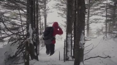 Güçlü bir kar fırtınası çerçevesi. Şiddetli bir kar fırtınası sırasında bir dağın tepesinde ağaçların arkasında saklanan bir adam..