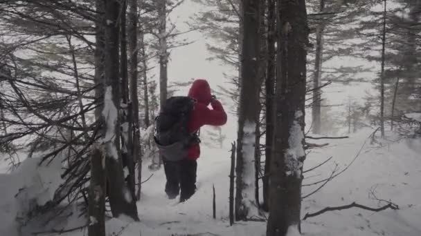 Cadre d'un puissant blizzard. Un homme au sommet d'une montagne caché derrière des arbres lors d'une tempête de neige. — Video