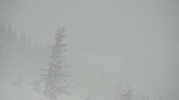 Tempesta di neve in montagna, vento forte epico in inverno, tempo artico. che soffia vento e neve polverosa, inverno. ecologia, neve inverno — Video Stock