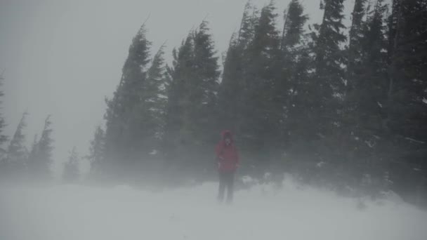 Silhouette d'un homme il va au soleil, à travers de lourds nuages dans les montagnes, mauvaise visibilité de la neige — Video