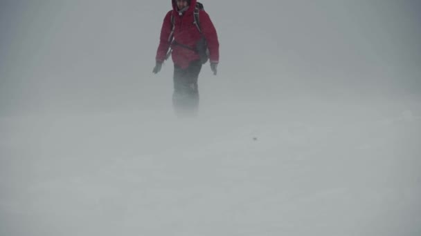 Un homme traverse une tempête de neige. tourisme dangereux — Video