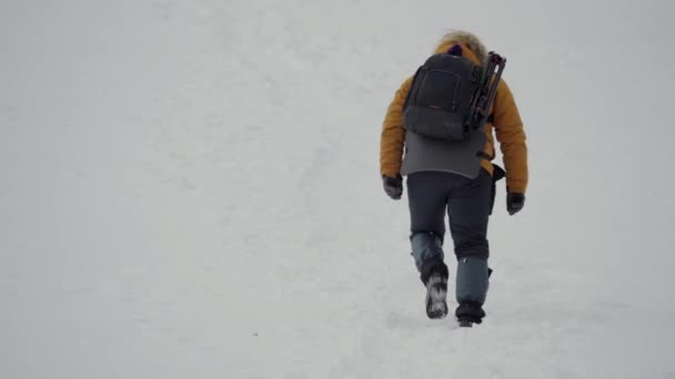 Voyageur sur la montagne enneigée en hiver. randonnées en hiver conditions météorologiques extrêmes — Video