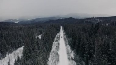 İHA 'dan arabaya, kış karla kaplı ormanın içinden hava görüntüsü..