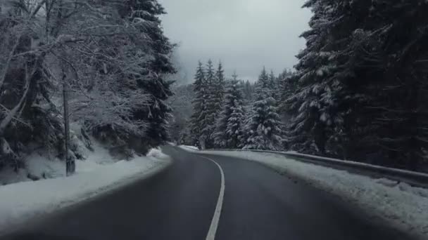 Winter uitzicht op de weg van auto venster sneeuw storm. — Stockvideo