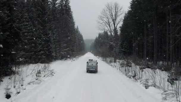 Автомобіль їде по дорозі в зимовому лісі — стокове відео