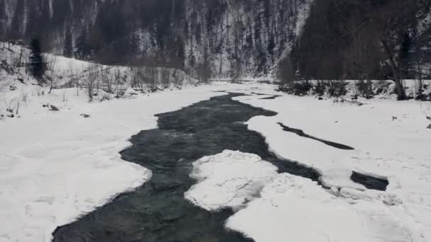 Snöiga bergslandskap. Berg flod och vinter skog med snöiga träd — Stockvideo