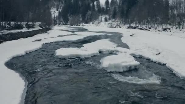 Paesaggio fluviale innevato. Fiume di montagna e foresta invernale con alberi innevati — Video Stock