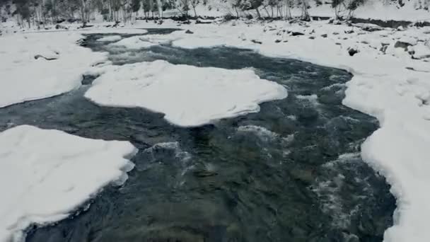 Snöiga bergslandskap. Berg flod och vinter skog med snöiga träd — Stockvideo