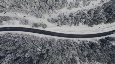 Kışın karlı ormanda uzun bir yol.