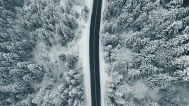 Kışın karlı ormanda uzun bir yol.