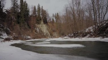 Karpat Dağları 'ndaki sakin dağ nehri