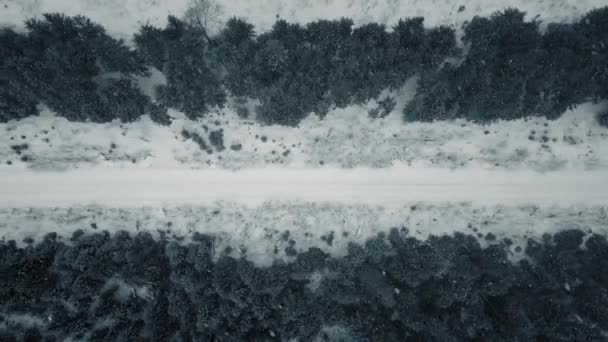 Vue aérienne depuis un drone sur une voiture traversant une forêt enneigée hivernale. — Video