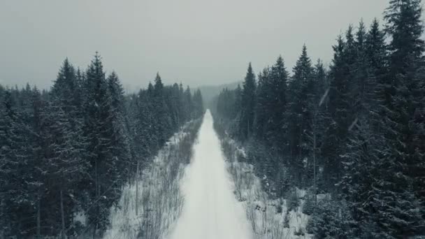 Vue aérienne depuis un drone sur une voiture traversant une forêt enneigée hivernale. — Video