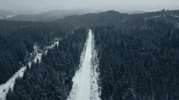 无人驾驶飞机从空中俯瞰驾车穿越冬季积雪覆盖的森林. — 图库视频影像