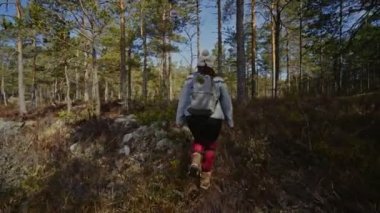 Kız baharda ormanda yürür. Norveç ulusal parkında bir kadın yürüyor. Yavaş parola