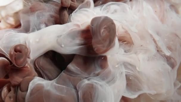 Color brown paint drops in water with light light white background, concept of mixing chocolate and milk — Stock video