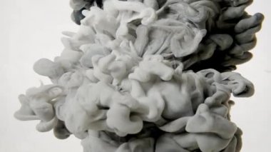 White black glitter ink spreading in water. Abstract colorful background with white color. Slow motion