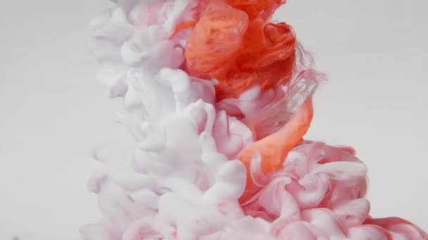 White and orange paint pigment cloud floating in water on white background — Stockvideo