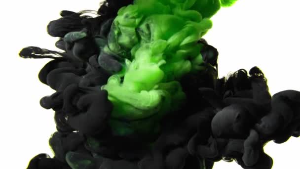Nube di inchiostro verde e nero in acqua isolata su sfondo bianco — Video Stock
