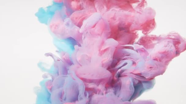 Tinte ins Wasser. Spritzer Farbmischflüssigkeit. Abstrakte blau rosa Hintergrundfarbe — Stockvideo