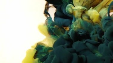 Suyun içindeki ipeksi mürekkep bulutu beyaz arkaplanda izole edilmiş..