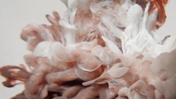 Acrylic paint in water white background, slow motion 4K. — Video