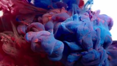 Color Cloud Collision. Pink and Purple Ink Mixing In Water. Slow Motion. White Background. Abstract Motion
