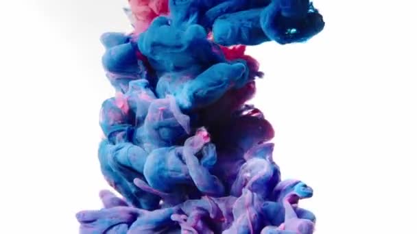 Color Cloud Collision. Pink and Purple Ink Mixing In Water. Slow Motion. White Background. Abstract Motion — Stockvideo