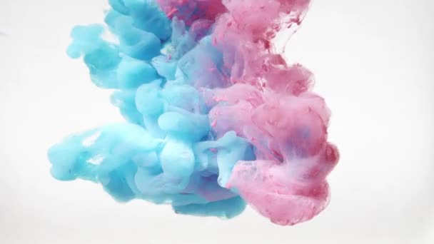 Blue pink glitter ink spreading in water. Abstract white background — Stockvideo