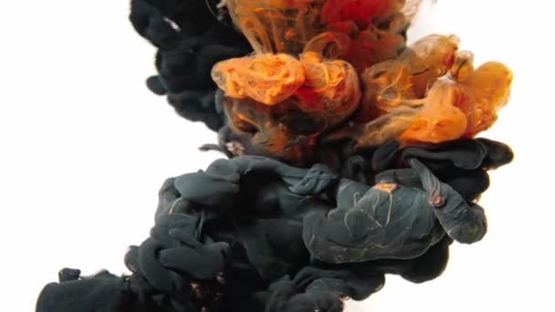 Абстрактна чорно-помаранчева фарба у воді на білому тлі. повільний рух 4K — стокове відео
