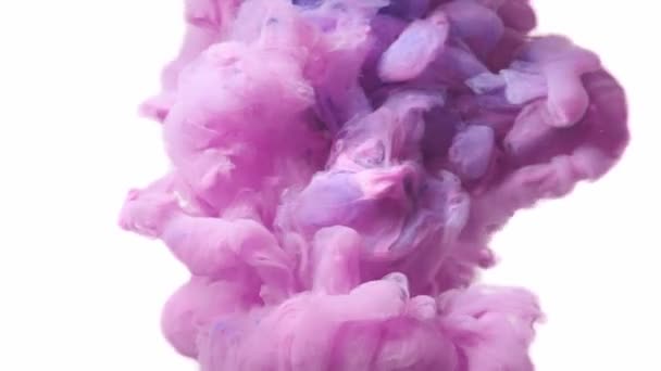 Pink cloud Ink cloud on white background. Slow motion 4K — Stockvideo
