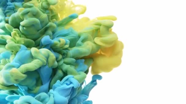 Peinture Jaune Bleue Dans Eau Focus Sélectif — Video