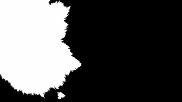 Beyaz Arka Plana Siyah Mürekkep Damlıyor Beyaz Mürekkep Dağılımı — Stok video