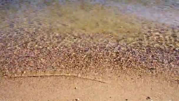 Czysty Strumień Woda Piasek Rzeka Kamienie Gałęzie Liście Jasny Widok — Wideo stockowe