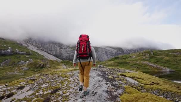 ノルウェーの高地をバックパックで歩く女の子 トレイルはほとんど記されていません 新鮮な緑の草 背の部分的に雪で覆われた背の高い山 荒野と自由 — ストック動画