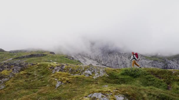 背景に美しい夏の風景と山の中でバックパックのハイキングを持つ女性旅行者スポーツライフスタイルコンセプト — ストック動画