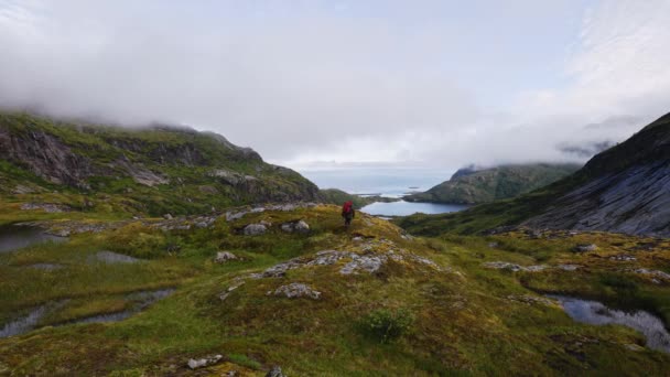 Wandelen Noorwegen Een Toerist Met Een Rugzak Een Stok Staat — Stockvideo