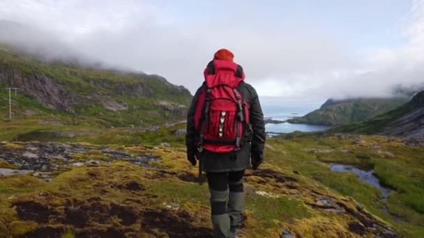 有名な崖の端に立っている若い男性とロフォーテン諸島の谷 山の美しい景色を楽しんで Munken Munkebu の近くにあるノルウェー — ストック動画