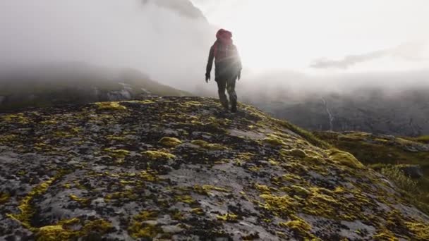 美しい山の湖や山の峰を見下ろすスポットに到達した後 手でトレッキングポールを保持して腕を上げるハイカー 信じられないほどの高地の風景を見て岩の上に立つ旅行者 — ストック動画