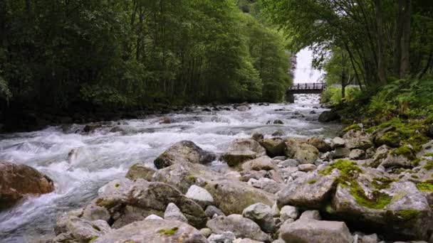 Het Water Van Een Rivier Stroomt Een Bos — Stockvideo