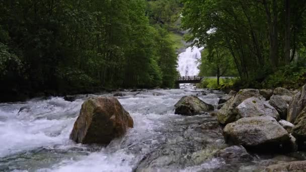 Eau Une Rivière Qui Coule Dans Une Forêt — Video