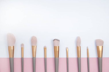 Çeşitli makyaj fırçaları. Boşluğu kopyala, üst görünüm