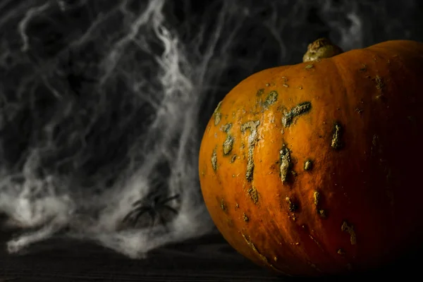 Halloween Pumpkin Dark Background Spiders Web Text Space — Stock Photo, Image