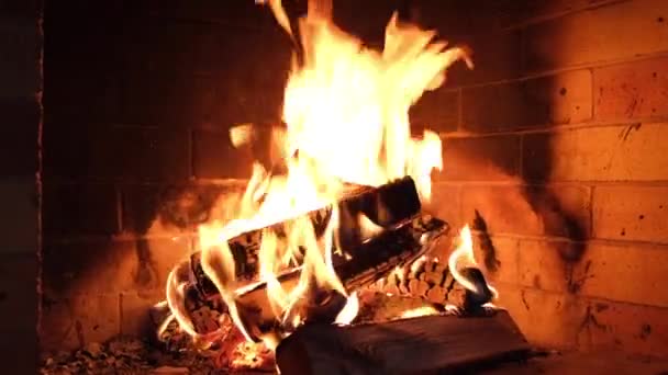 Καυσόξυλα Καίγονται Στο Τζάκι Καυσόξυλα — Αρχείο Βίντεο
