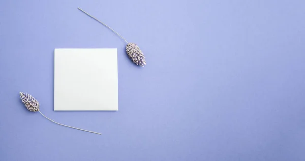 Blank White Greeting Card Dry Herbs Violet Background Top View — Fotografia de Stock